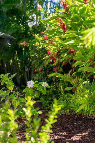 Noahs Hideaway Luxury B&B
