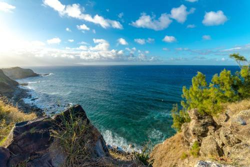 Apartamento Honua Kai - Hokulani 223