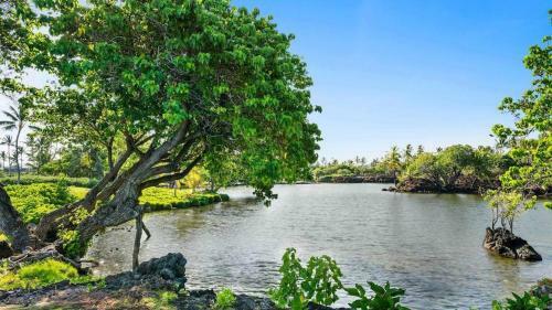 Mauna Lani Golf Villas #q22