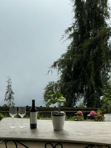 Sundays Forever - Hill Top Cottage