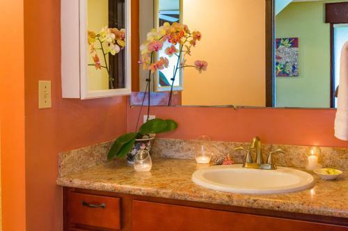 Apartamento Sealodge C7-oceanfront Views, Top Floor Privacy, Bright Tropical Interior