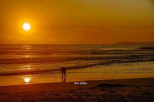 Bed & Breakfast Marari Sea Scape House