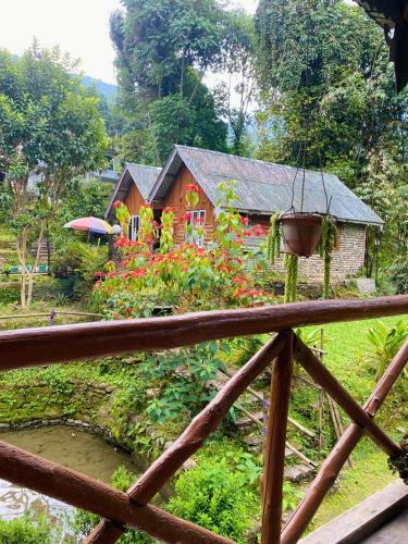 Bed & Breakfast Odyssey's Cherry Village Homestay