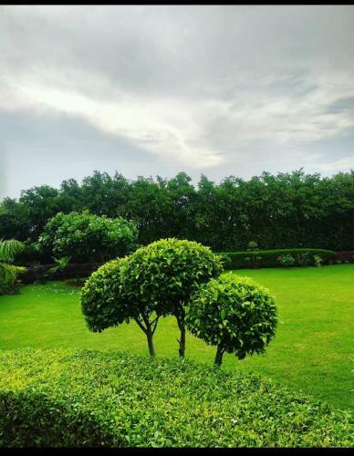 Agroturismo Nirvana Farms ( Singh's)