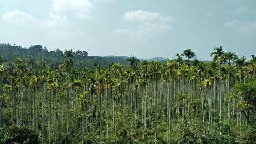 Chamayam Holiday Villa