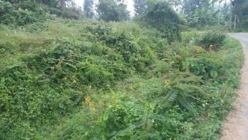 Chamayam Holiday Villa