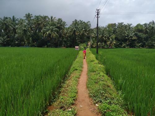 Agroturismo Rudraksh Retreat