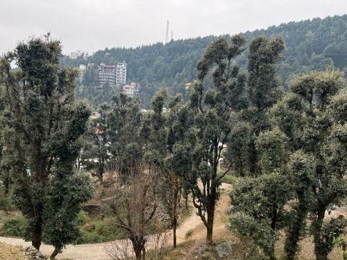 Odyssey's Nature Homestay