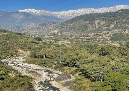 Hotel Dhauladhar View Village Resort