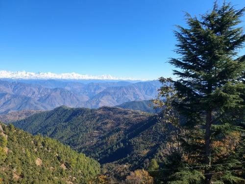 The Himalayan Aleph, Kanatal