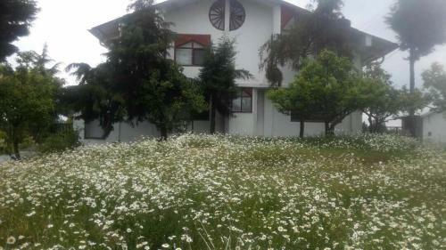 The Himalayan Aleph, Kanatal