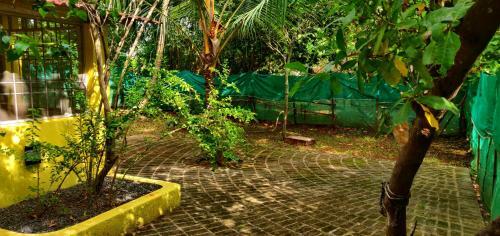 Villa Kisa House