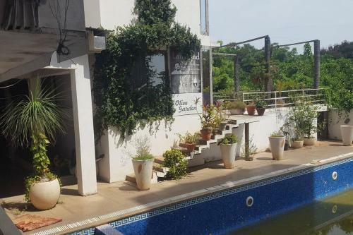 Auroville Purple Studio Apartment