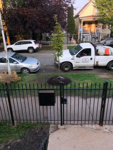 Apartamento Logan Square Modern Curated Pet Friendly