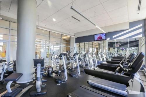 Stunning 1 Bedroom Apartment With Full Amenities By C9