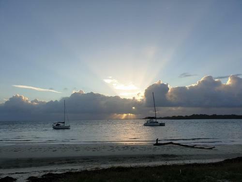Banksia Beach Beauty