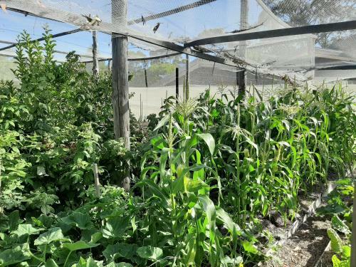 Apartamento Spring Beach Garden Retreat