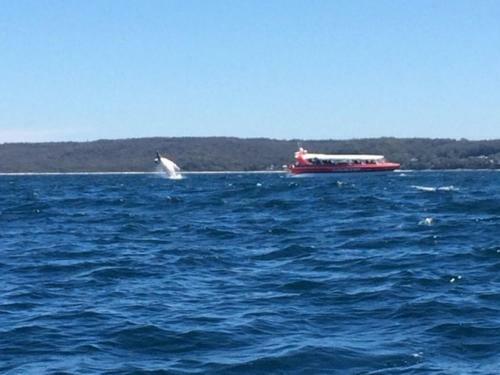 The Jetty House Jervis Bay
