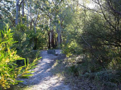 Hanalei - Pet Friendly - Directly Opposite Waterfront