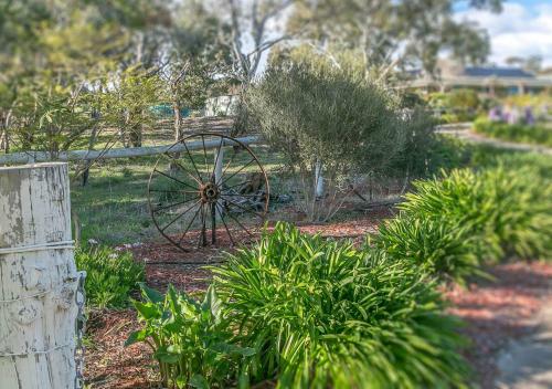 Lillys Place,amazing Views,30 Minutes From Cbd,wifi