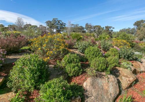 Lillys Place,amazing Views,30 Minutes From Cbd,wifi