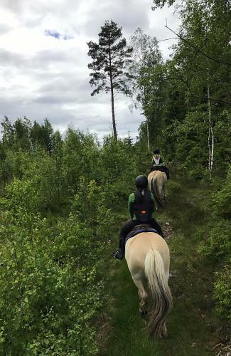 Lodge Gr�nelid G�rd
