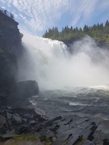 Hugsn�set Semesterstugor Och Fiske