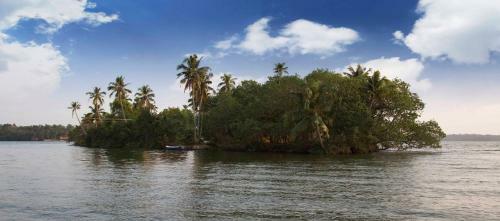 Munroe Eco Camp