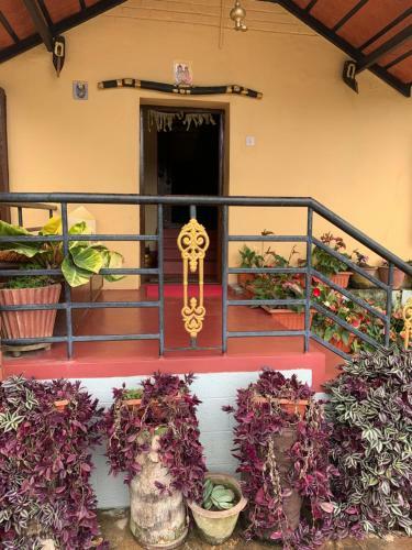 Tottilu Homestay