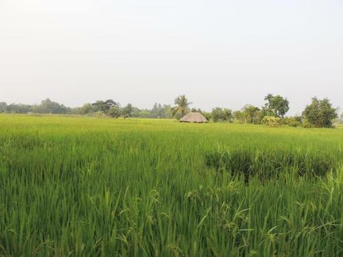 The Earthen Retreat Sundarbans