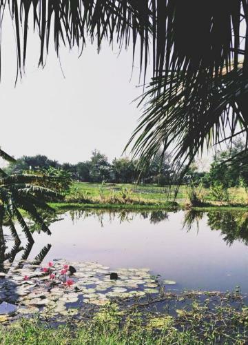 The Earthen Retreat Sundarbans