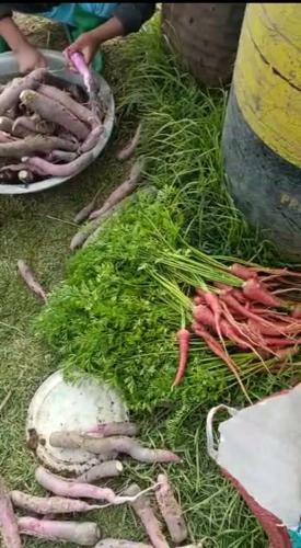 Chimney Farms And Flora