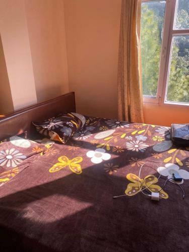 Roshan Studio Apartments