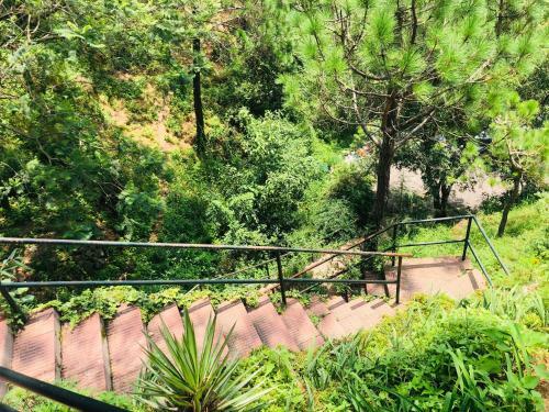 Apartamento Cottage No 6