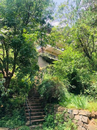 Apartamento Cottage No 6