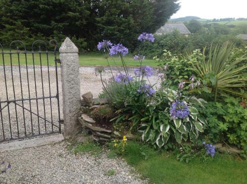 Bed & Breakfast Bradridge Farm