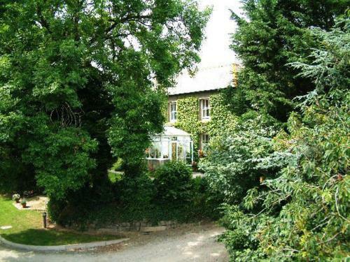 Bed & Breakfast Bradridge Farm