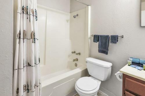 Entire Apartment With 75 Walk Score Getaway
