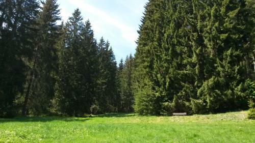 Ferienhaus Bad Hundertpfund Typ A