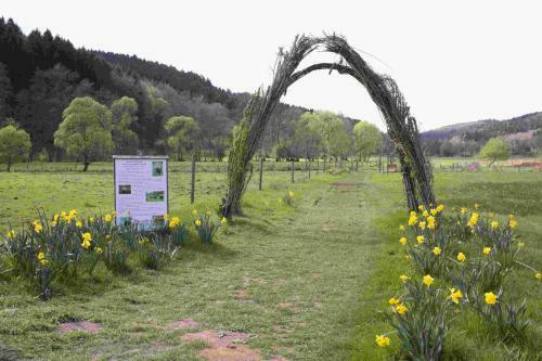 Ferienhaus Vulkaneifel Abtei Himmerod