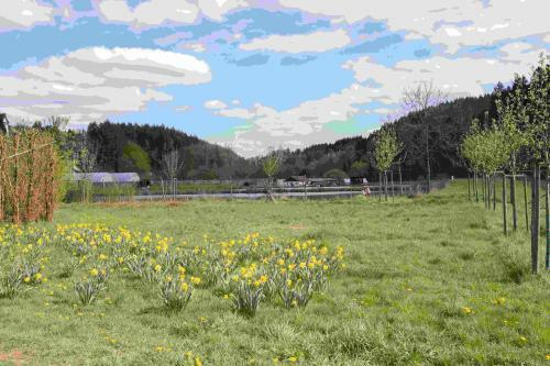 Ferienhaus Salmtal Himmerod