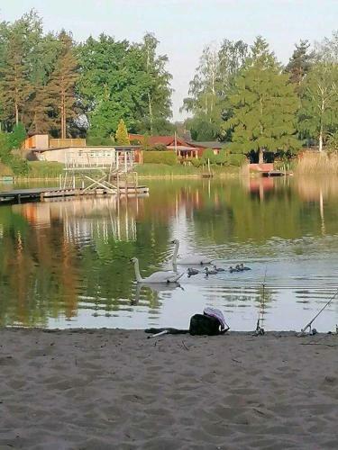 Apartamento See Ferienwohnung 3 Moehlauer See