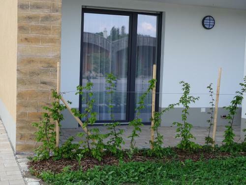 Apartamento Ferienwohnung St�rmthaler See, Leipziger Seenplatte