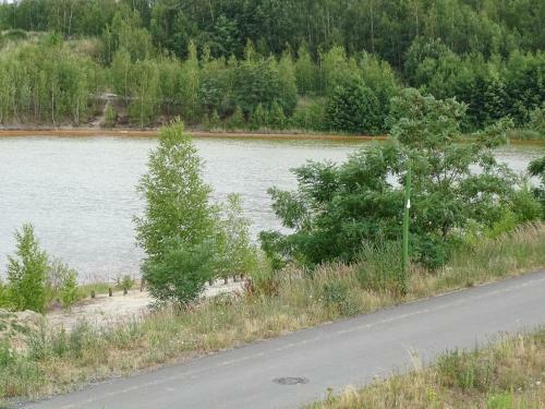 Apartamento Ferienwohnung St�rmthaler See, Leipziger Seenplatte