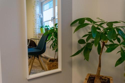 Apartamento Fewo Lindenstrasse