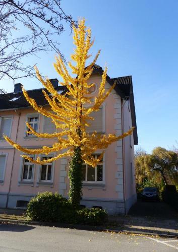 Apartamento Prinz Ole