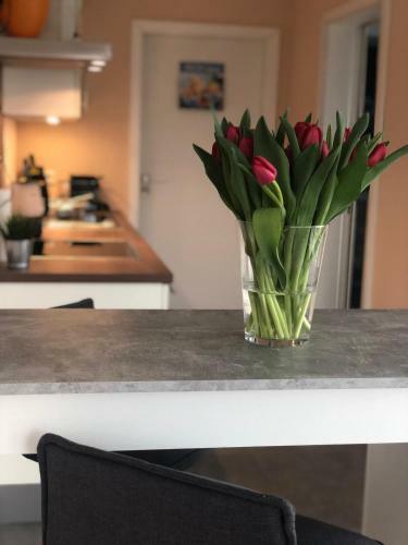 Apartamento Guetsel-lodge - ?