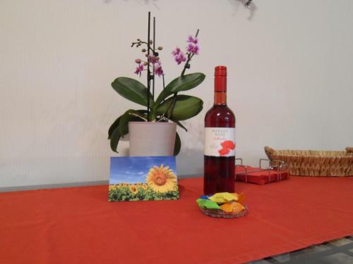 Apartamento Ferienwohnung In Hahnheim, Rheinhessen