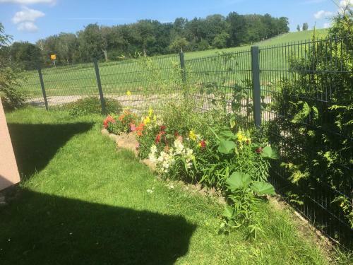 Apartamento Ferien Am Hofe