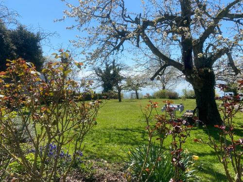 Apartamento Haus Am See